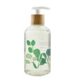 Thymes Eucalyptus White Tea Hand Wash  240ml 8.25oz Online Sale