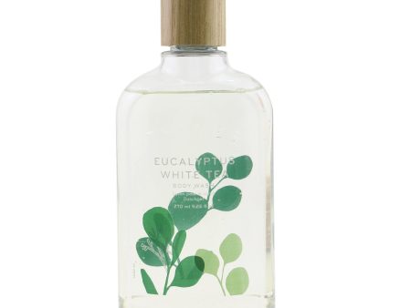 Thymes Eucalyptus White Tea Body Wash  270ml 9.25oz Hot on Sale