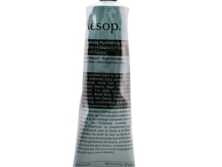 Aesop Resolute Hydrating Body Balm  100ml 3.4oz For Cheap